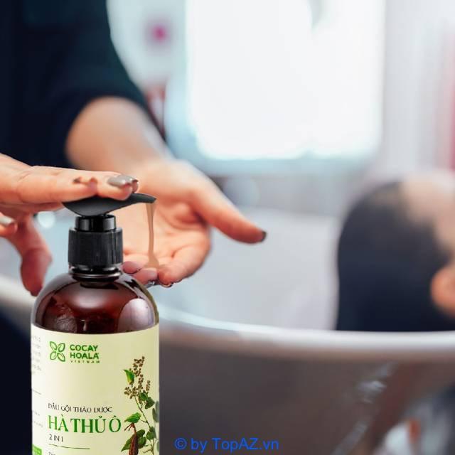 Top 8 dầu gội trị nấm da đầu tốt nhất, phù hợp cho mọi đối tượng
