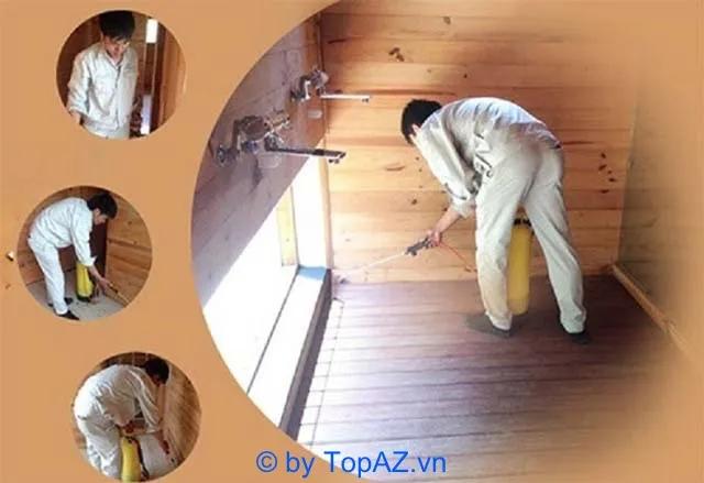 Top 5 Công ty diệt mối uy tín và chuyên nghiệp tại Hải Phòng