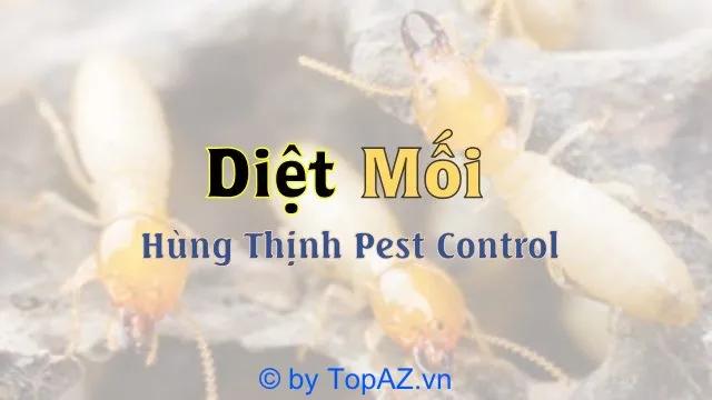 Top 5 địa chỉ diệt mối uy tín nhất Quận 9, Thủ Đức - Đánh giá chi tiết 2024