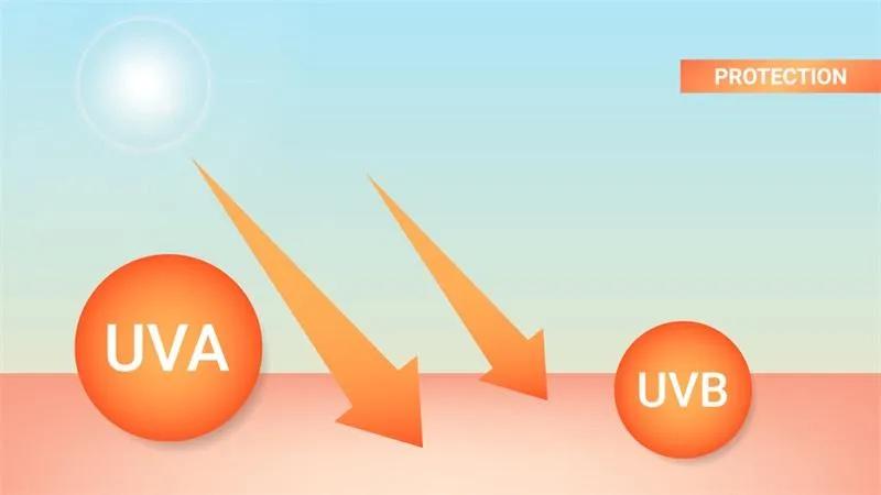 5 Điều Cần Lưu Ý Quan Trọng Khi Mua Đèn LED Diệt Khuẩn