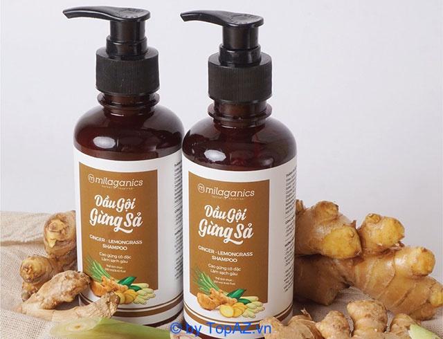 4 Dầu Gội Gừng Được Yêu Thích Nhất Hiện Nay Dành Cho Chị Em