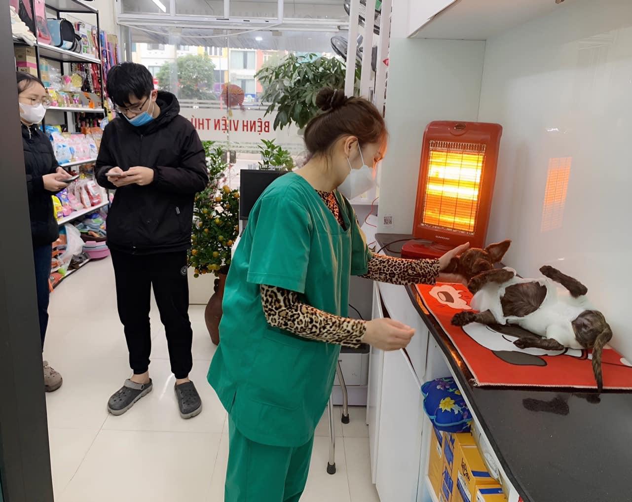 Khám phá 6 đánh giá chi tiết về phòng khám thú y 4pet
