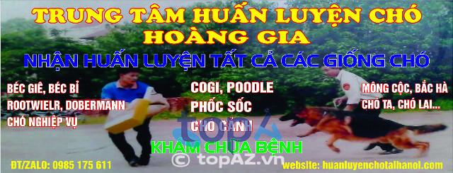 5 địa chỉ huấn luyện chó uy tín bậc nhất tại Hà Nội