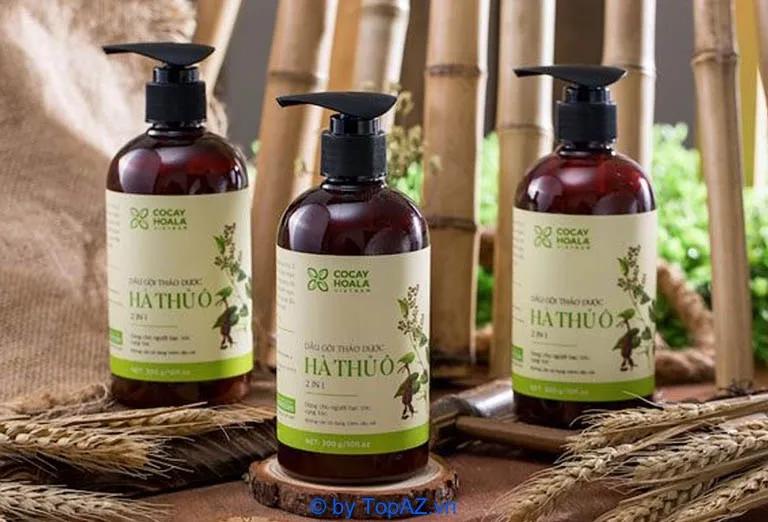 10 dòng dầu gội trị rụng tóc hiệu quả nhất hiện nay không thể bỏ qua