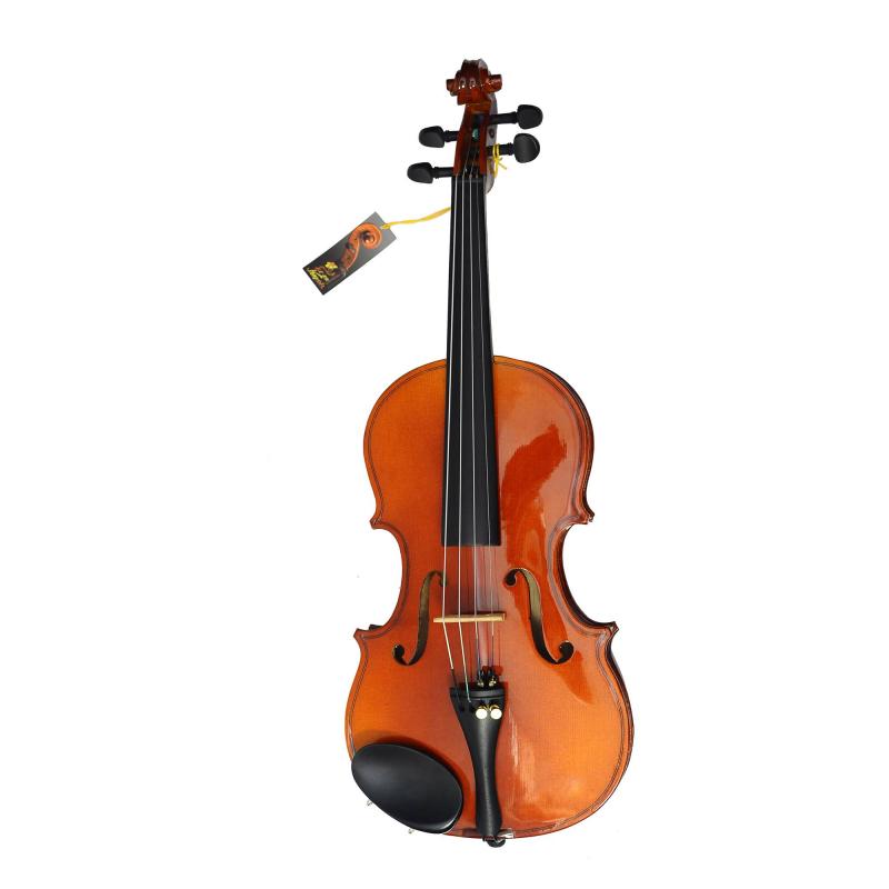 Top 8 địa điểm mua đàn violin đáng tin cậy nhất Hà Nội