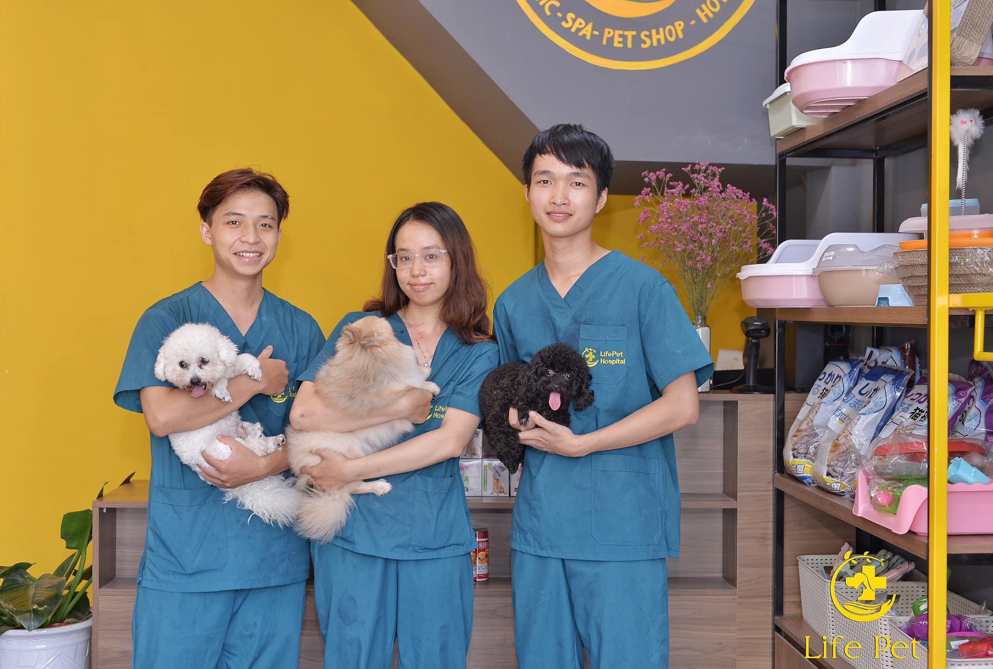 5 Địa chỉ phòng khám thú y đáng tin cậy hàng đầu quận Tây Hồ, Hà Nội