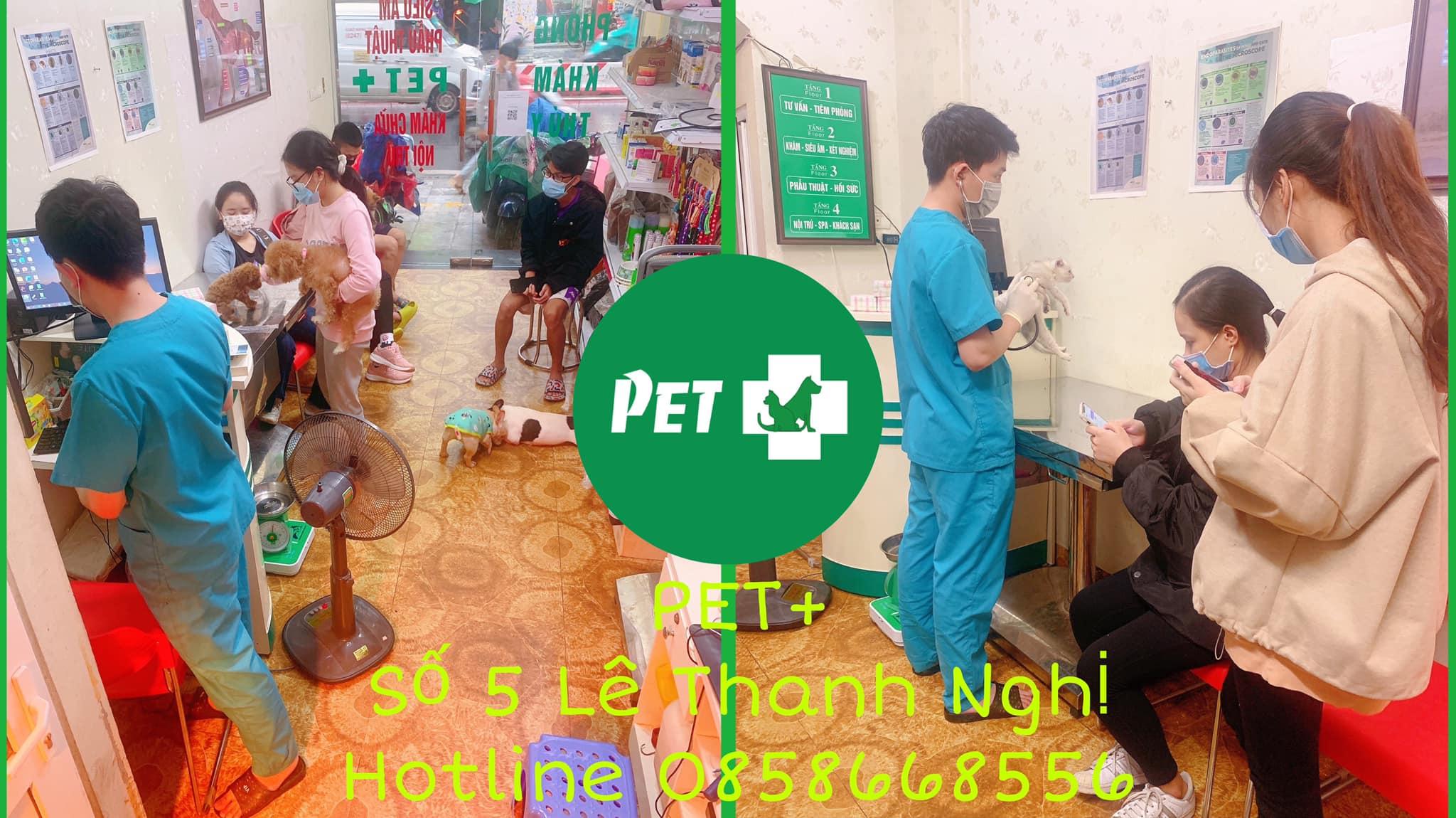 Top 4 Phòng Khám Thú Y Đáng Tin Cậy Nhất Quận Hai Bà Trưng, Hà Nội