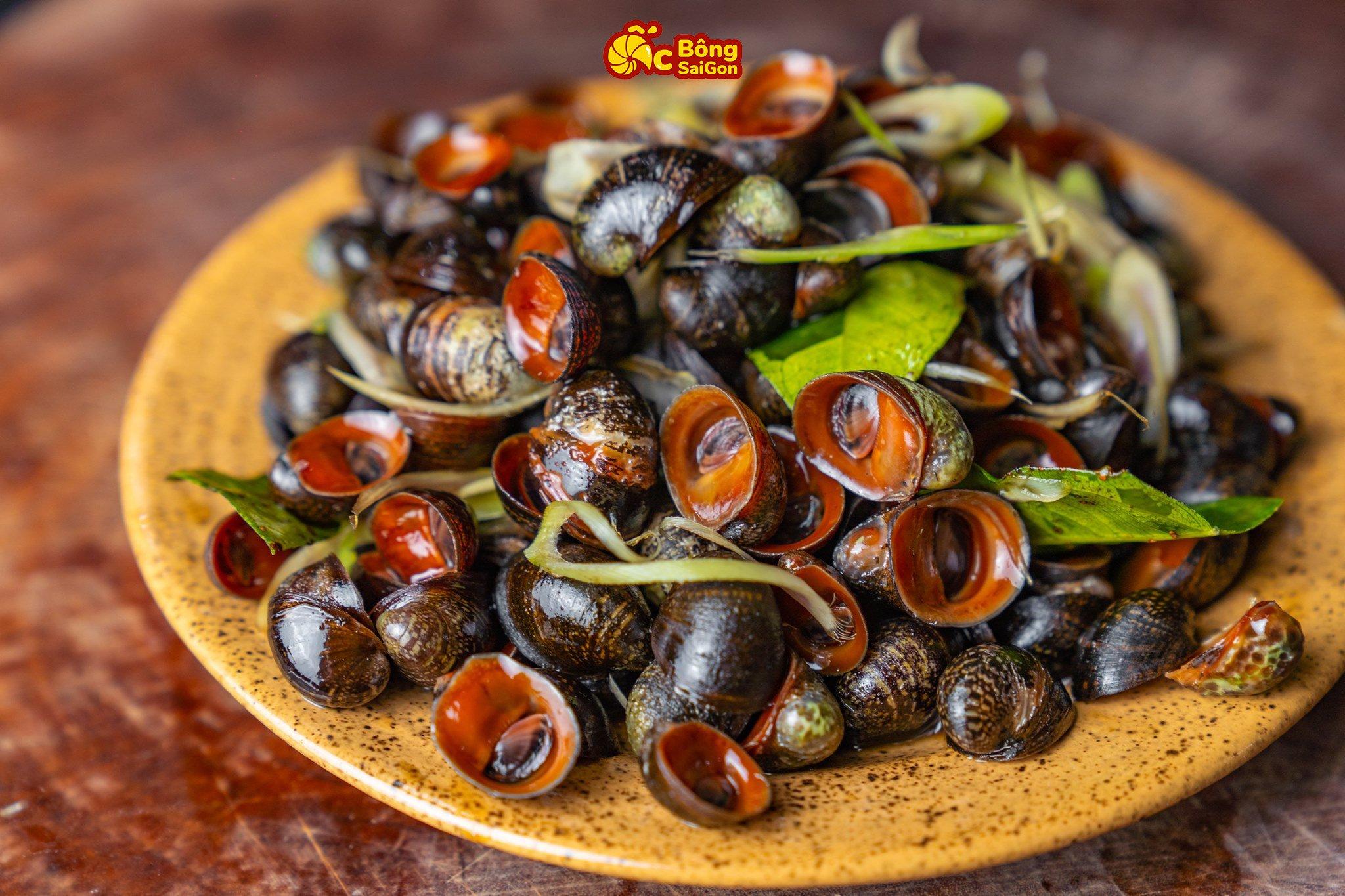 7 Quán ốc Sài Gòn 'gây thương nhớ' giữa lòng Hà Nội - Địa chỉ không thể bỏ qua cho tín đồ ẩm thực