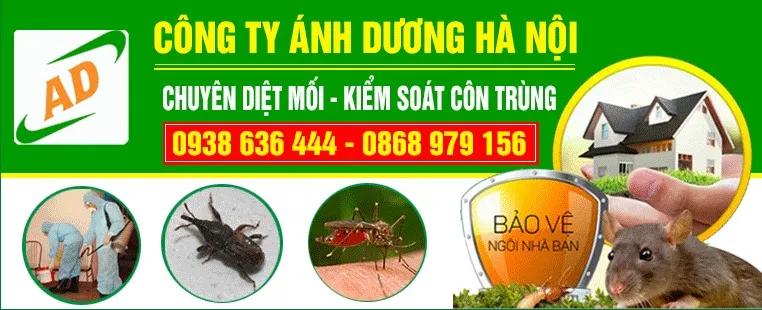 Danh sách 10 đơn vị diệt côn trùng đáng tin cậy bậc nhất Thủ đô