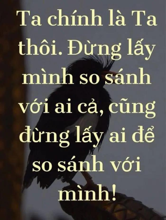 Top 10 Cách giúp bạn vượt qua thử thách trong cuộc sống
