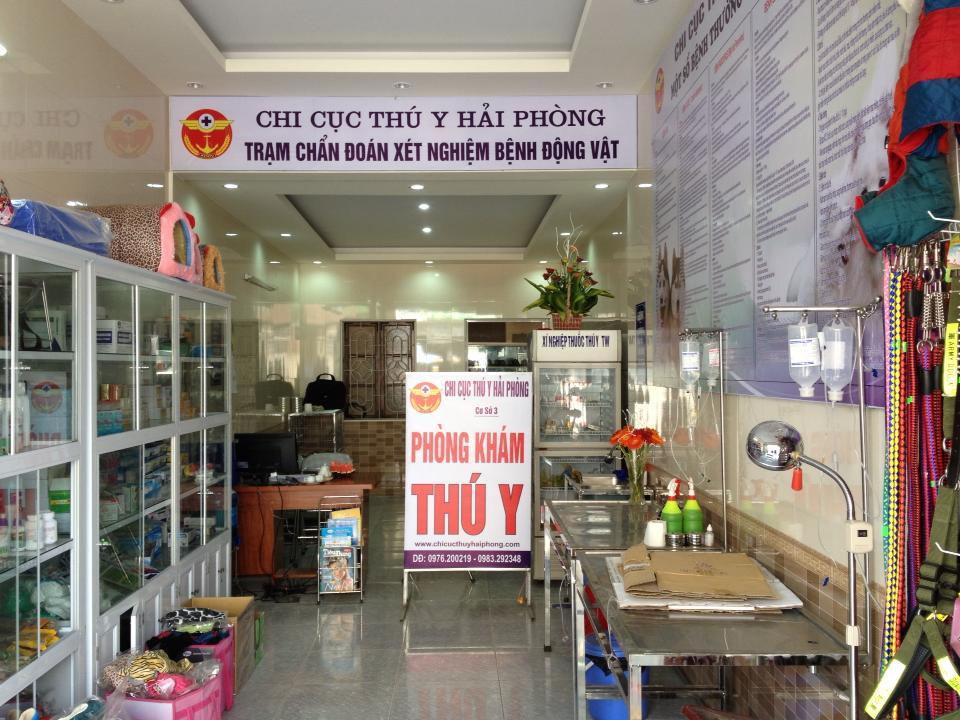 Top 5 Phòng Khám Thú Y Đáng Tin Cậy Nhất Tại Hải Phòng