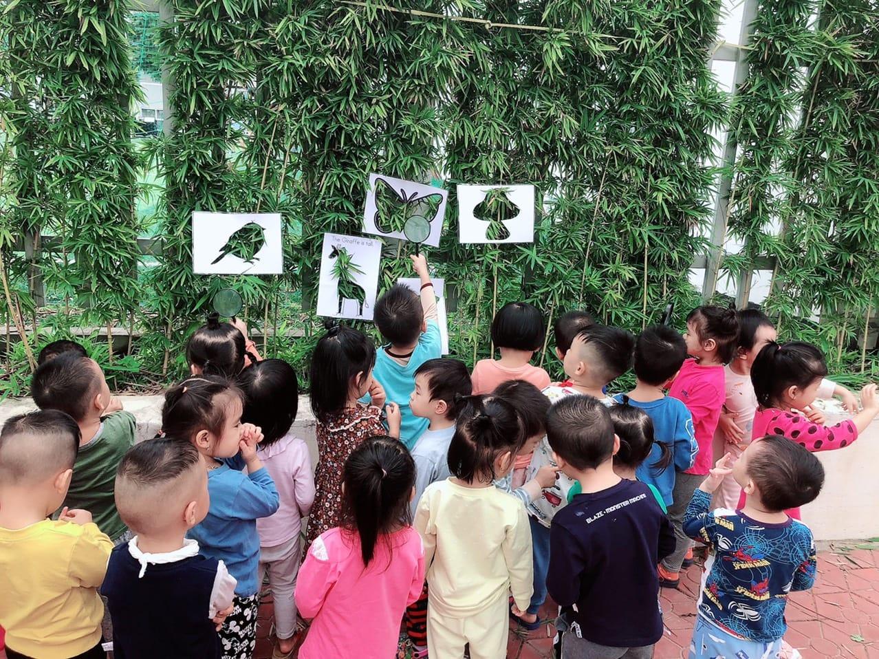Top 4 ngôi trường mầm non ưu tú nhất tại quận Dương Kinh, Hải Phòng