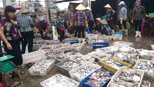 5 chợ hải sản sầm uất nhất Hải Phòng - Thiên đường ẩm thực biển