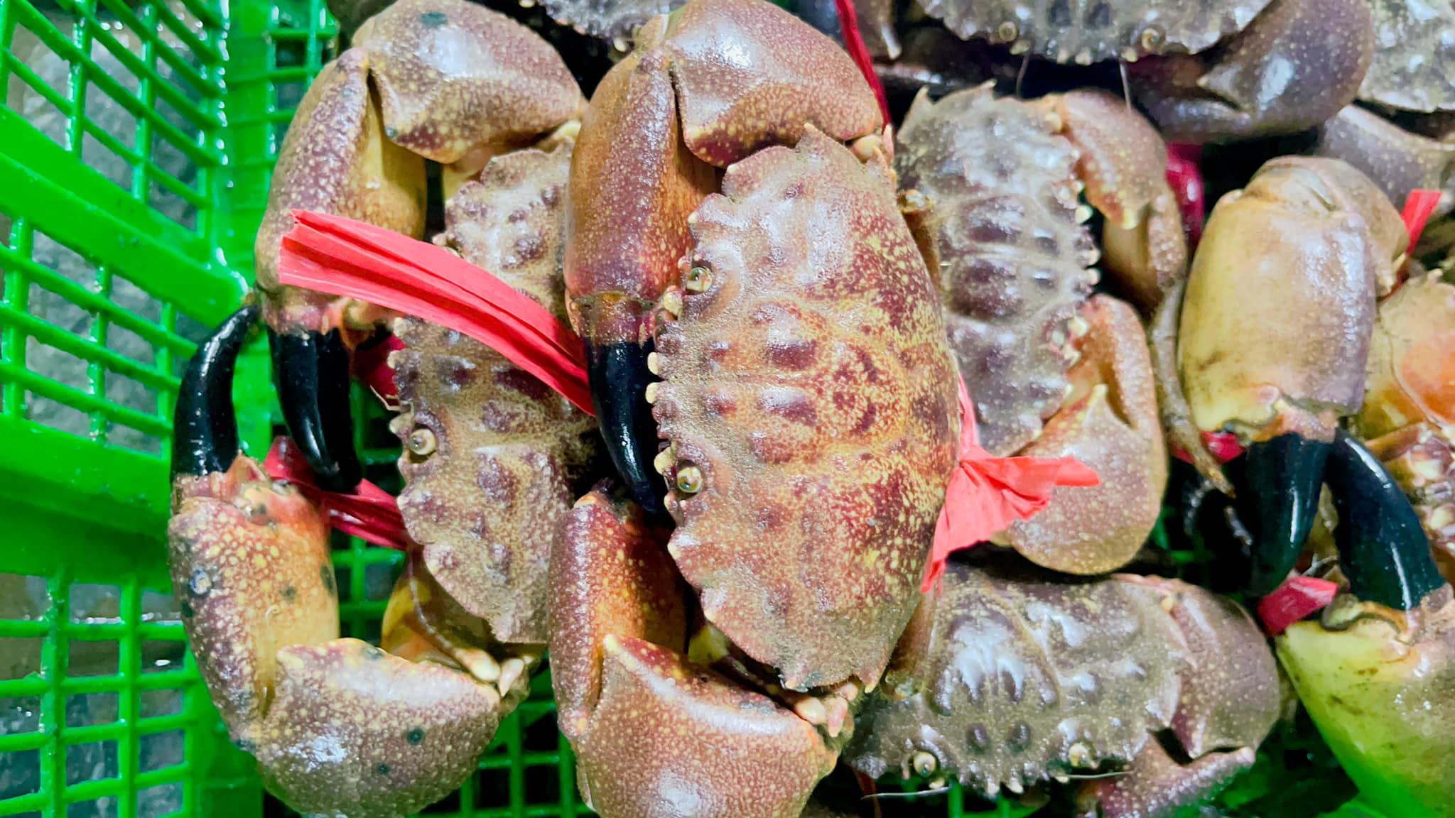 Top 5 địa chỉ bán hải sản tươi sống đảm bảo chất lượng tại Hải Phòng