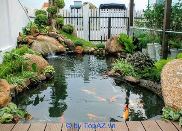 Top 5 công ty thiết kế và thi công hồ cá koi chất lượng tại Đồng Nai
