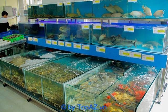 Top 5 địa chỉ bán hải sản tươi sống chất lượng, giá hợp lý tại Hà Nội