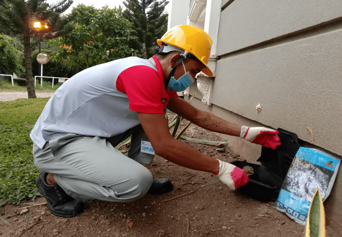 Top 8 công ty diệt mối uy tín và chất lượng tại Hà Nội