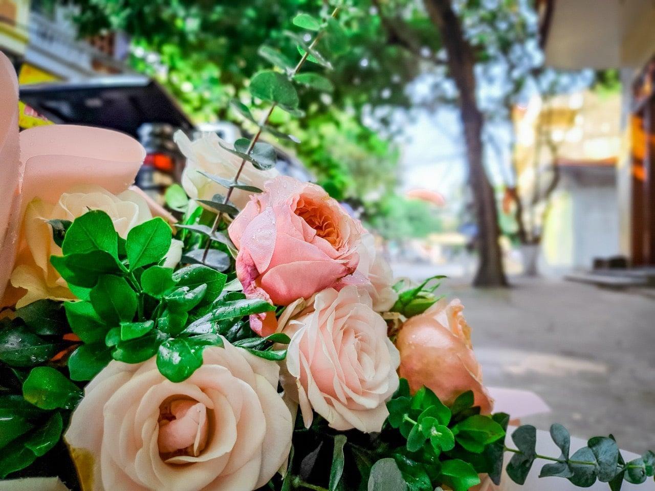 Top 7 cửa hàng hoa tươi đẹp nhất và chất lượng hàng đầu tại Ninh Bình