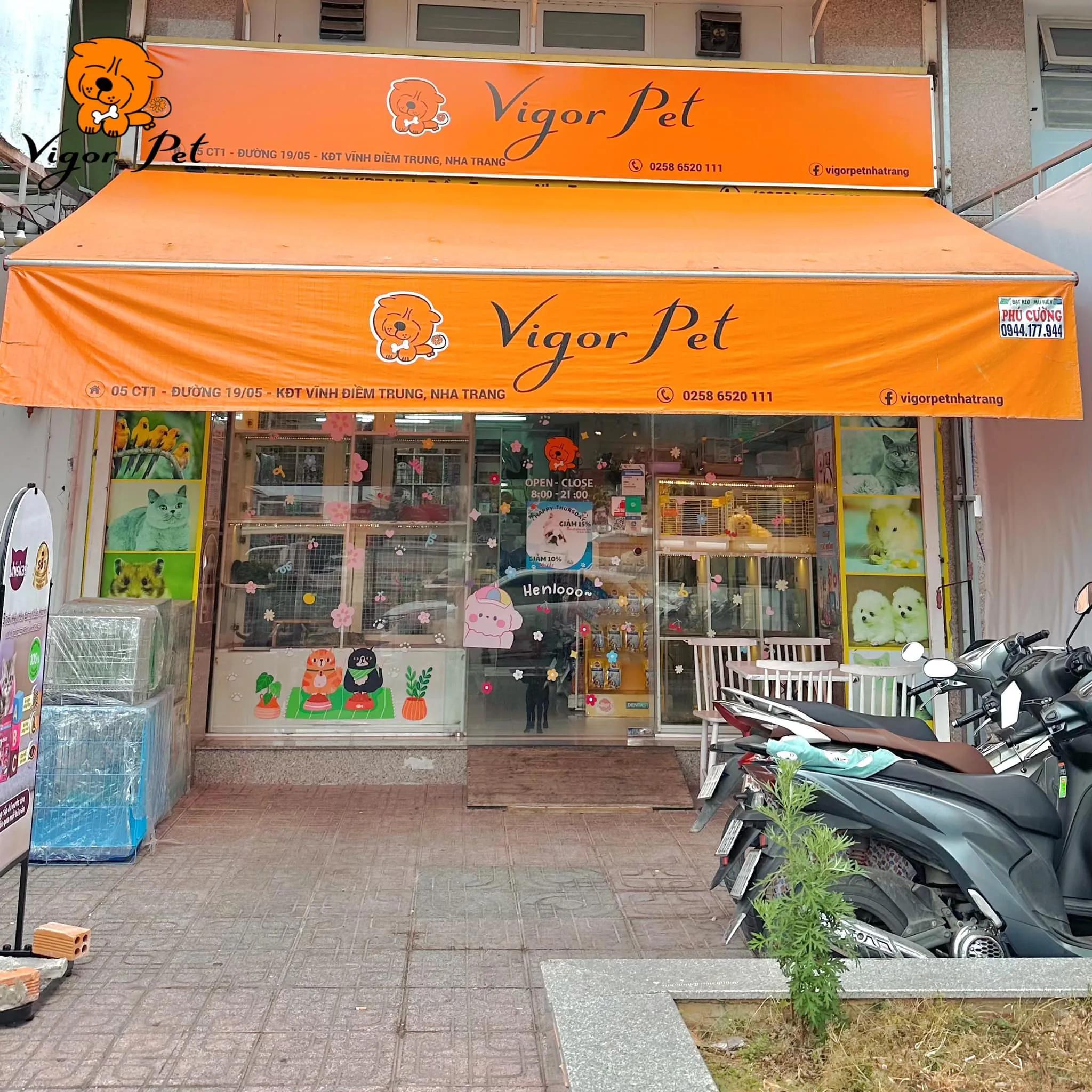 Top 7 cửa hàng cung cấp thức ăn và phụ kiện thú cưng chất lượng tại Nha Trang