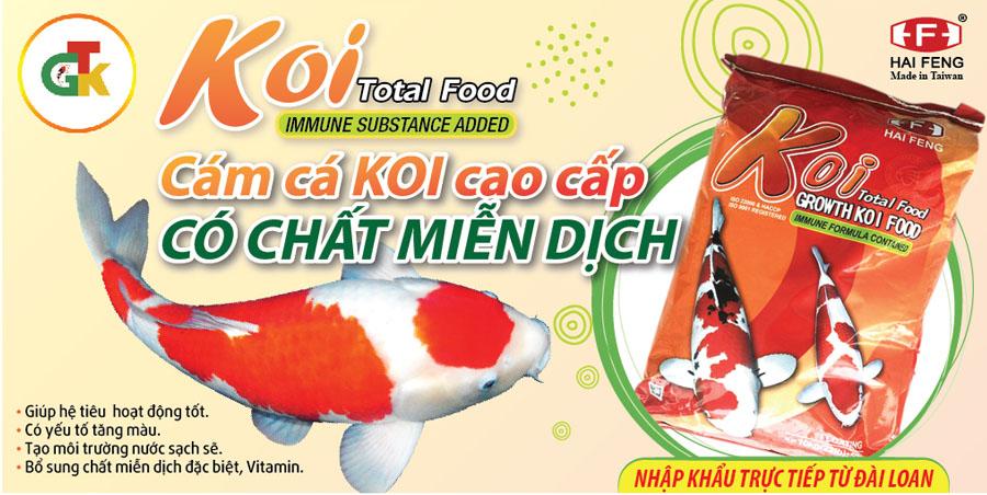 7 Thương hiệu thức ăn cho cá Koi chất lượng nhất hiện nay