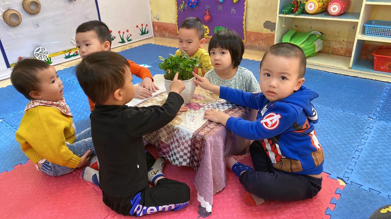 11 trường mầm non công lập nổi bật tại Hải Dương mà bạn nên khám phá