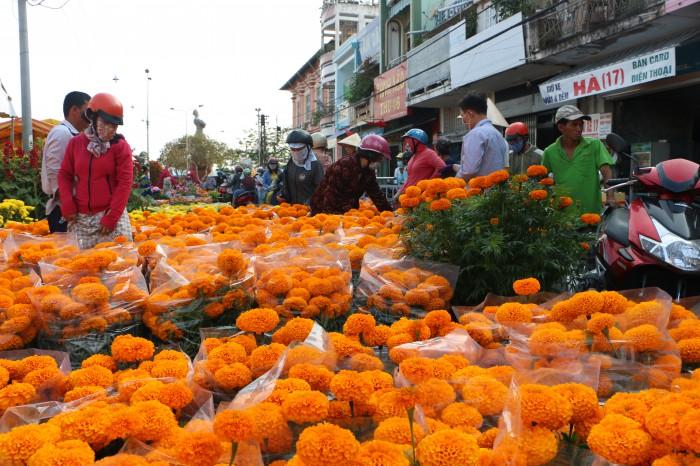 Khám phá top 10 chợ hoa Tết lớn nhất miền Tây 2021