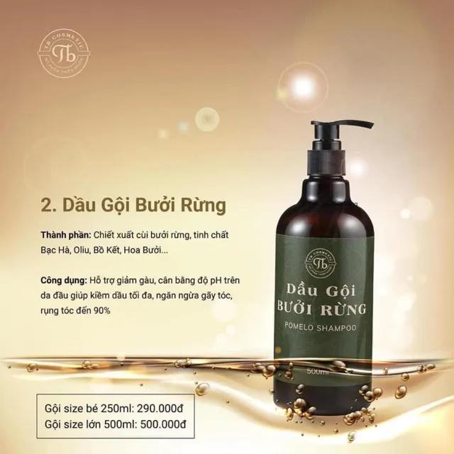 Top 8 dầu gội bưởi ngăn ngừa rụng tóc và kích thích mọc tóc hiệu quả nhất hiện nay