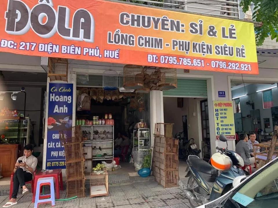 Top 6 Địa chỉ uy tín bán lồng chim đẹp và chất lượng tại TP. Huế