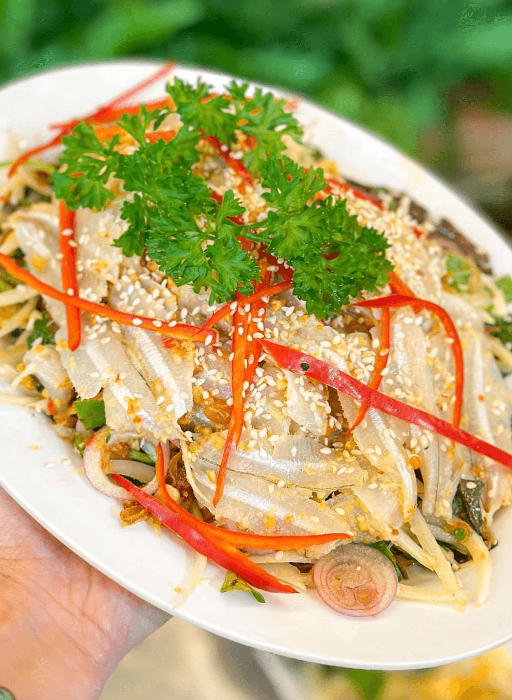 Top 8 địa chỉ thưởng thức gỏi cá mai ngon nức tiếng và đông thực khách nhất Vũng Tàu