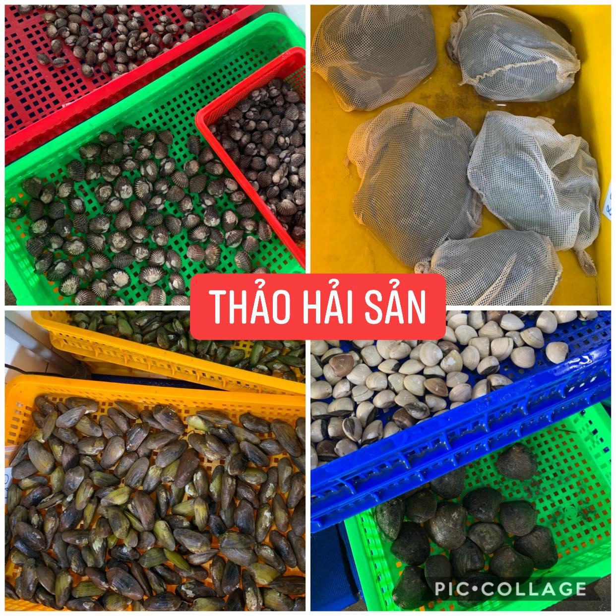Top 7 địa chỉ cung cấp hải sản tươi sống chất lượng hàng đầu tại Đồng Nai
