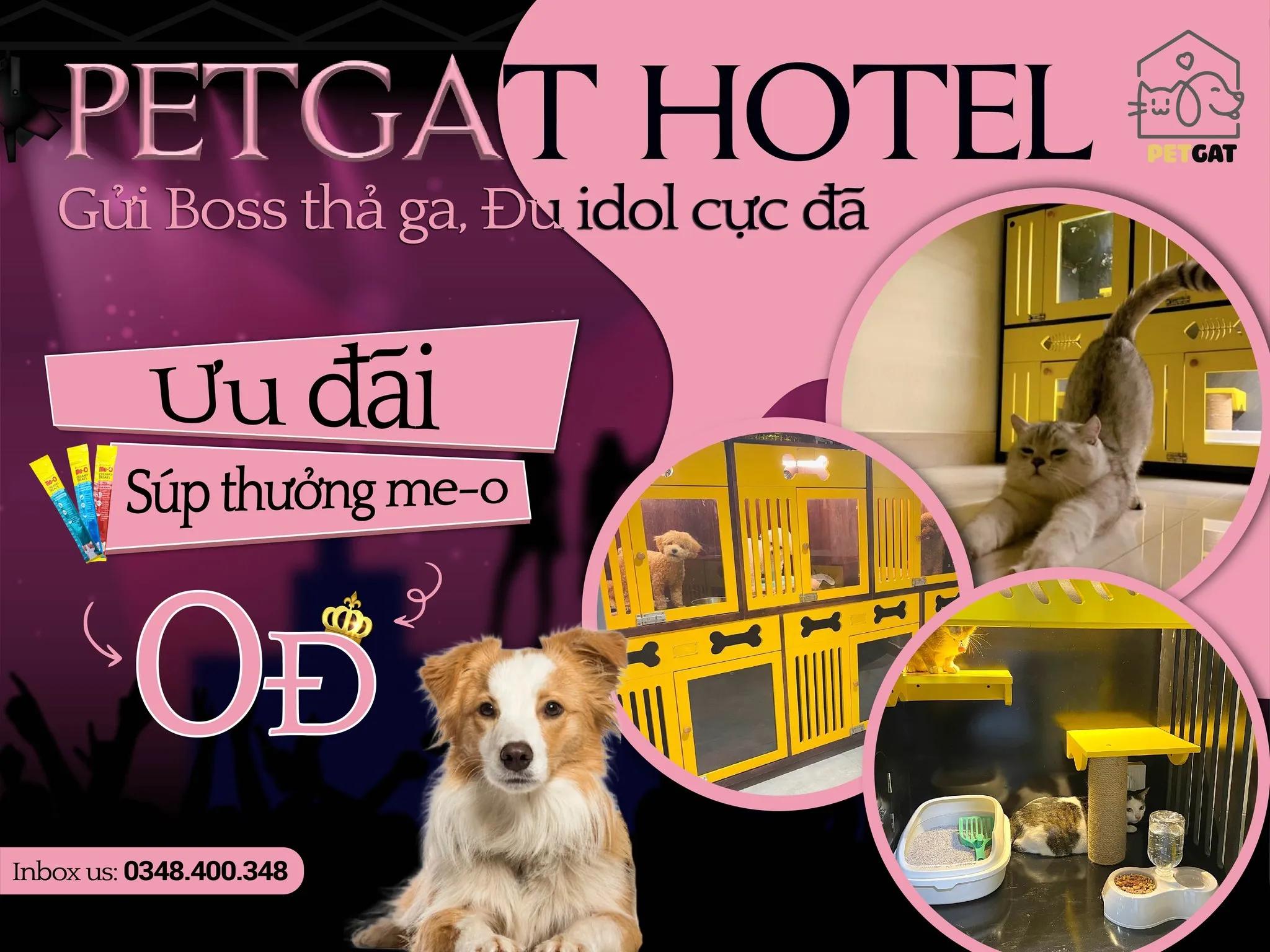 Top 5 khách sạn thú cưng uy tín tại quận Gò Vấp, TP.HCM
