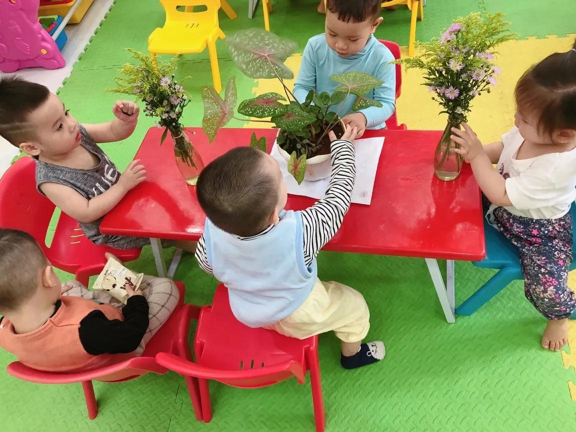 Top 7 Trường Mầm Non Xuất Sắc Nhất Tại TP. Pleiku, Gia Lai