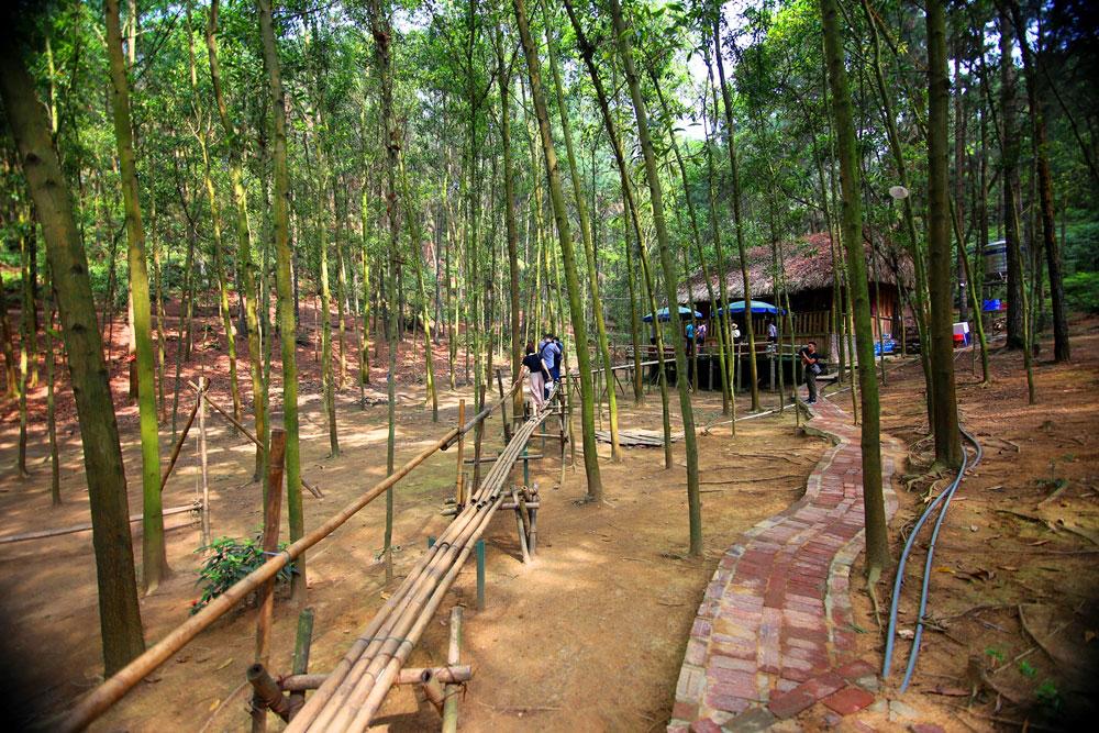 5 địa điểm cắm trại lý tưởng quanh Hà Nội: Thiên nhiên trong lành, không gian yên bình