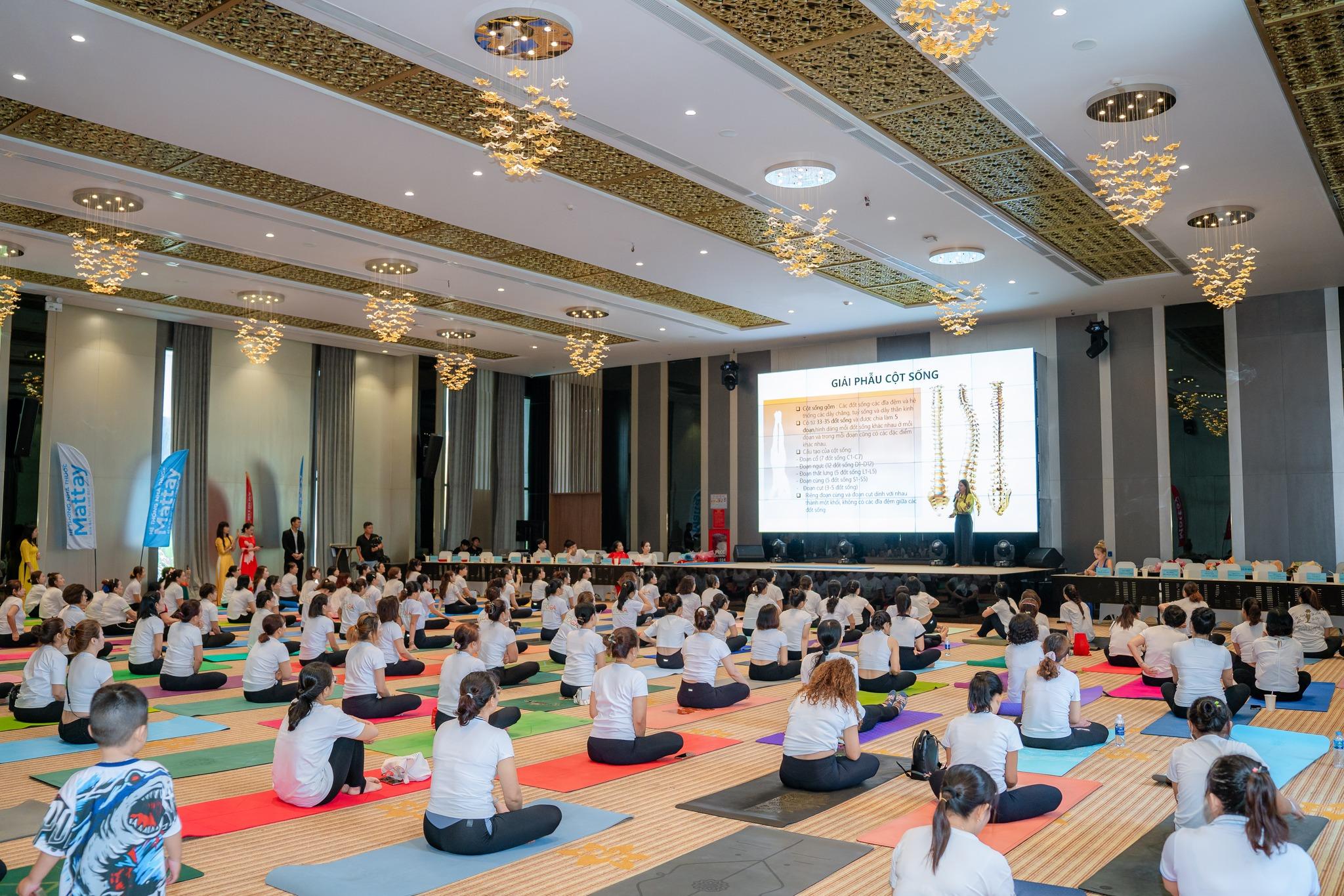 6 địa điểm tập yoga hàng đầu tại Bình Định - Lựa chọn hoàn hảo cho sức khỏe và tinh thần
