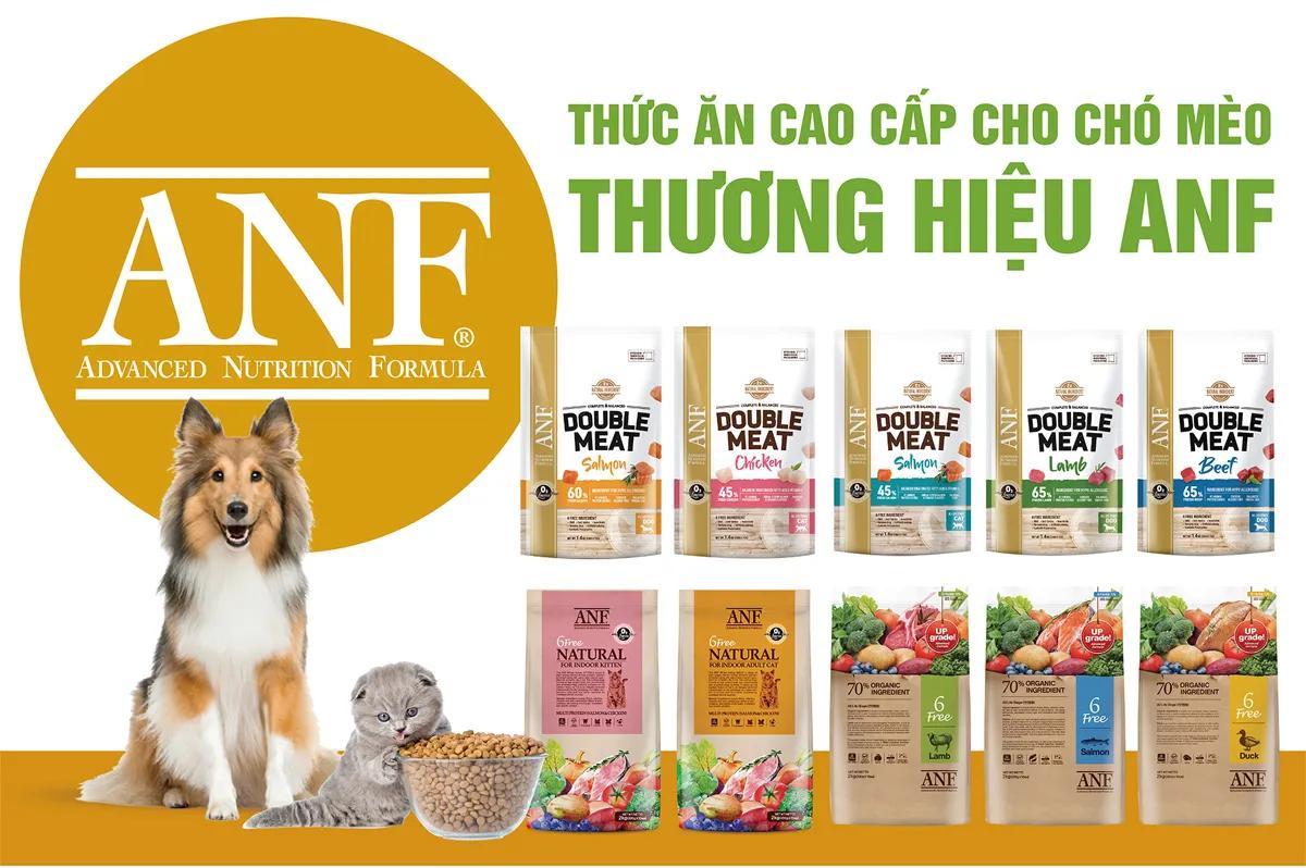 8 Thương hiệu hạt khô cho thú cưng chất lượng nhất hiện nay
