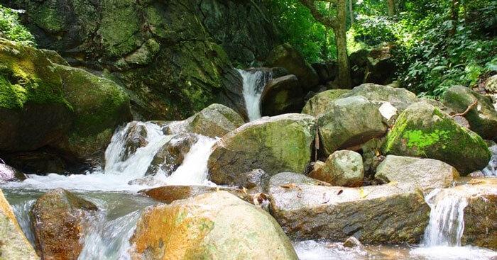 Top 12 bài phân tích ấn tượng nhất về tác phẩm "Bài ca Côn Sơn" (Ngữ văn 8 - SGK Chân trời sáng tạo)