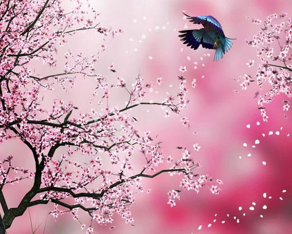 7 câu đố vui ngày Tết dành riêng cho bé mầm non