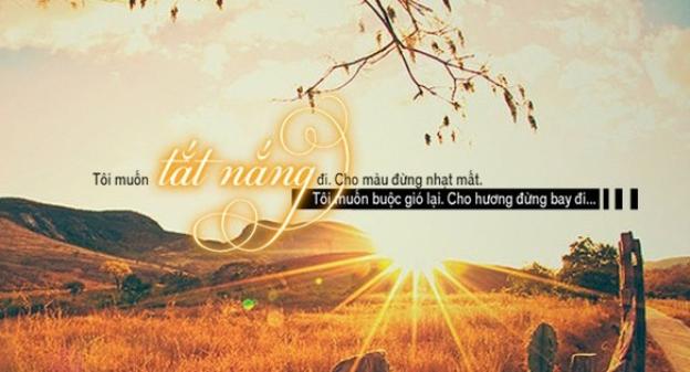Top 5 bài phân tích ấn tượng nhất về sức cuốn hút trong thi phẩm 'Vội vàng' của nhà thơ Xuân Diệu (dành cho học sinh lớp 11)