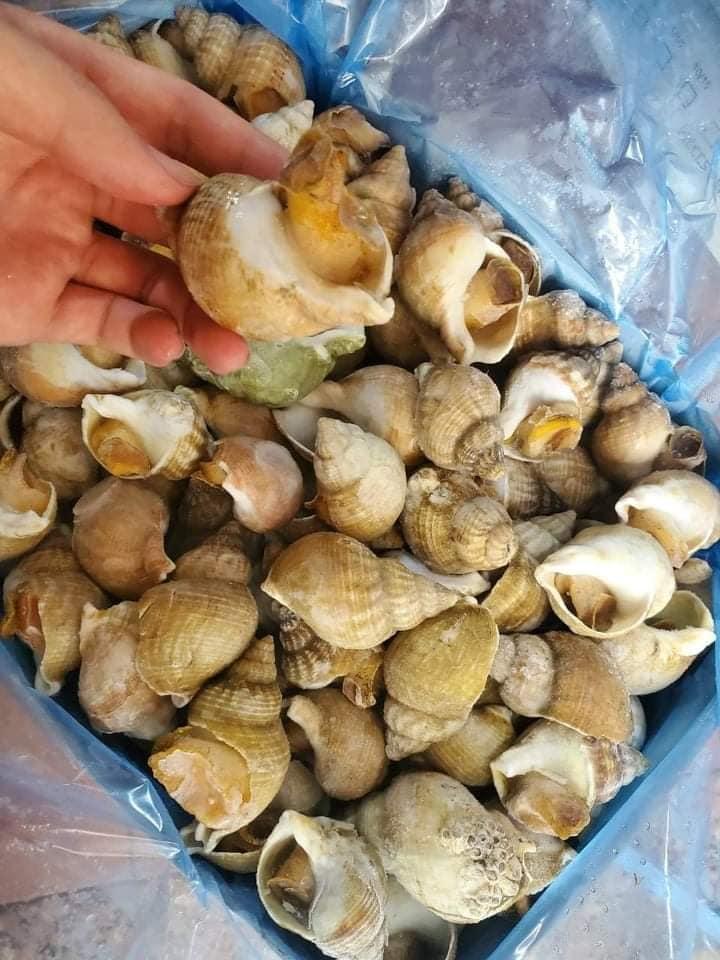 5 Địa chỉ bán hải sản tươi sống đáng tin cậy nhất tại Tây Ninh