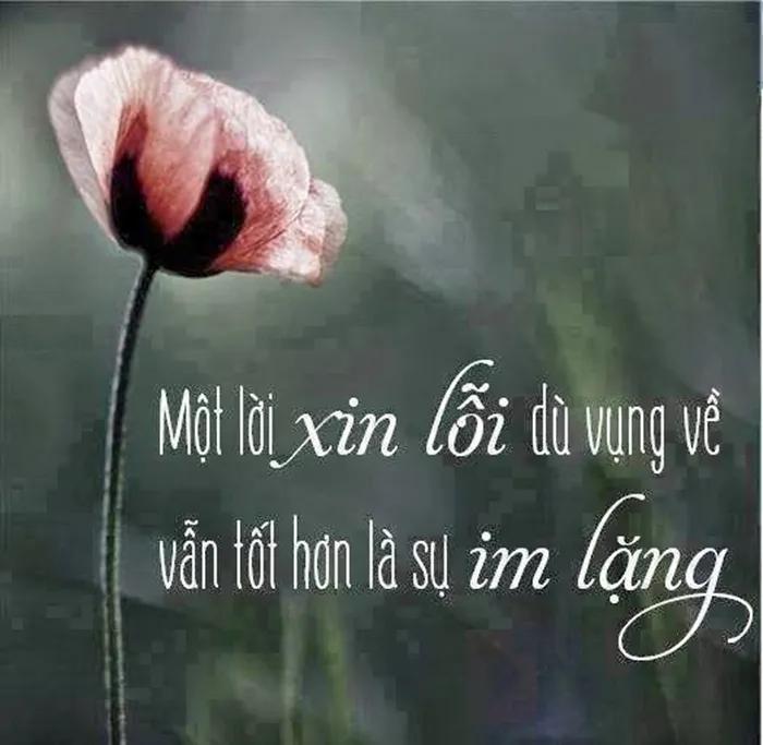 15 Bài văn nghị luận sâu sắc về ý nghĩa của lời xin lỗi - Dành cho học sinh lớp 12