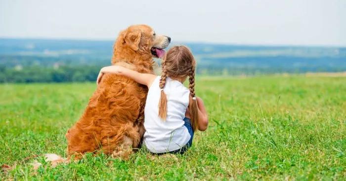 Top 10 bài luận sâu sắc bàn về giá trị của việc nuôi thú cưng trong gia đình - Tuyển tập từ Ngữ Văn 6 (SGK Cánh Diều)