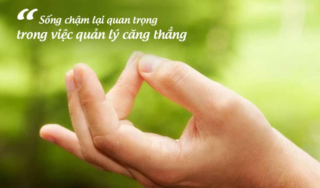 Tuyển tập 9 bài văn nghị luận xuất sắc nhất về chủ đề sống chậm dành cho học sinh lớp 12