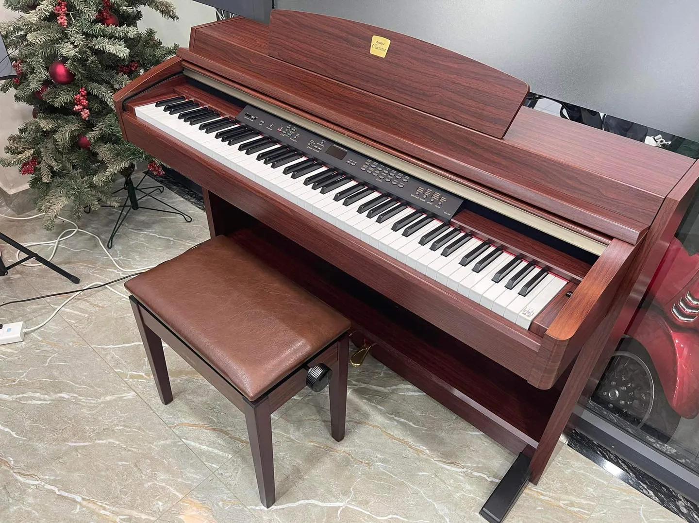5 địa điểm bán nhạc cụ đáng tin cậy nhất tại quận Phú Nhuận, TP.HCM