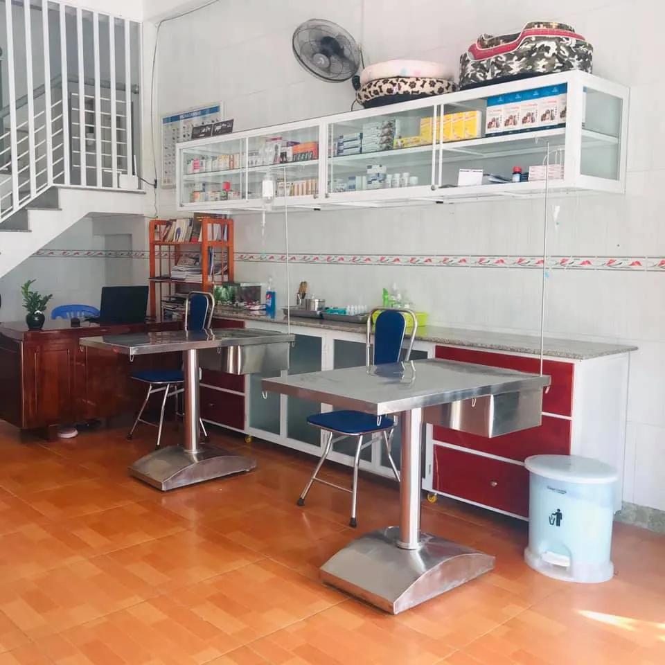 4 Địa Chỉ Phòng Khám Thú Y Chất Lượng Nhất Vĩnh Long