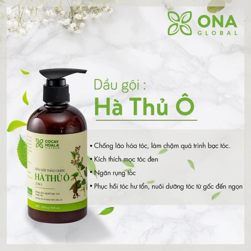 Top 10 Dầu Gội Organic Được Yêu Thích Nhất Hiện Nay