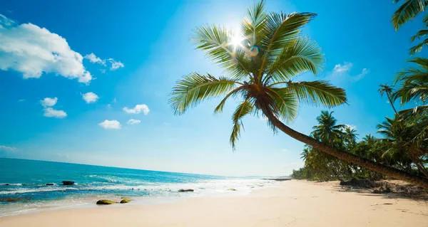 Top 15 đoạn văn hay nhất giới thiệu về cảnh thiên nhiên em yêu thích (Ngữ văn 6 - SGK Chân trời sáng tạo)