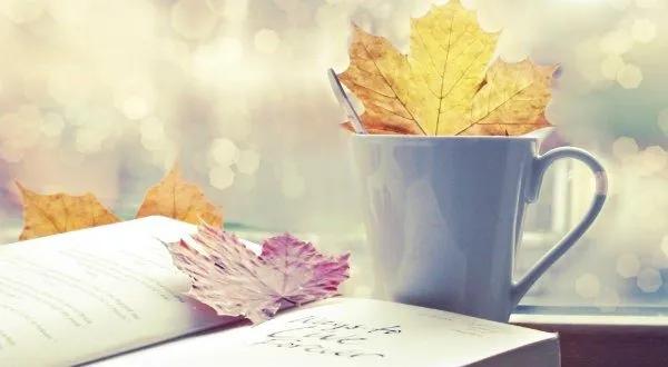 Top 14 đoạn văn xuất sắc khắc họa bài học cuộc sống sâu sắc từ SGK Ngữ văn 7 bộ Kết nối tri thức