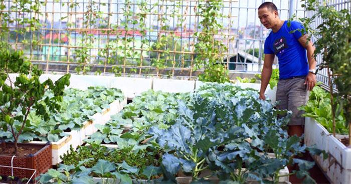 11 Bài văn mẫu tả bố chăm sóc khu vườn ấn tượng nhất dành cho học sinh lớp 5