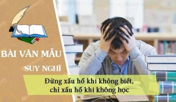 Top 8 bài văn nghị luận sâu sắc nhất về triết lý: 'Không biết không đáng xấu hổ, chỉ đáng xấu hổ khi không chịu học hỏi' dành cho học sinh lớp 9