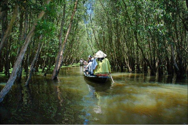 Top 6 Hướng dẫn soạn bài "Đi trong hương tràm" (Ngữ văn 10 - SGK Cánh diều) chất lượng nhất